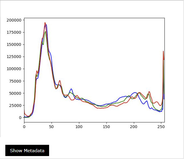 Histogram